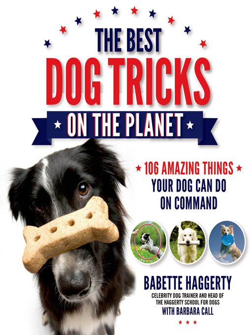 Title details for The Best Dog Tricks on the Planet by Babette Haggerty - Wait list